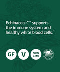 Standard Process Echinacea C Whole Food Blood And Immune 90 Tablets