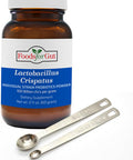 Foods For Gut Lactobacillus Crispatus Probiotic Powder 100 Billion Cfu'S | 60 Gram | No Additives | Digestive & Immune Support | High Potency | L. Crispatus