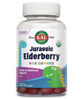 KAL Jurassic Elderberry Kids Gummies | Healthy Immune Support | USDA Organic, Vegan, Gluten | 30 Serv, 60 Ct
