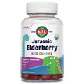 KAL Jurassic Elderberry Kids Gummies | Healthy Immune Support | USDA Organic, Vegan, Gluten | 30 Serv, 60 Ct