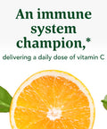 MegaFood Complex C Immune Support A Daily Dose Of Vitamin C Delivered With Real Food Vegan Non Gmo Gluten Free Made Without 9 Food Allergens 180 Tablets