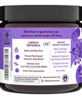 Llama Naturals Elderberry Gummies for Adults Vegan Organic Immune Support Supplement with Vitamin C and Zinc Real Fruit Gummy Vitamins for Immunity Chewable No Added Sugar Cane 90 Ct