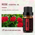 GREENSLEEVES Rose Essential Oil 100% Pure Organic Aromatherapy Diffuser Oils 10ml