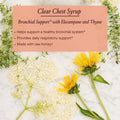 Urban Moonshine Clear Chest Syrup - Helps Support Healthy Bronchial System* - Elecampane & Thyme* - Daily Respiratory Support* - Immune Support Supplement* - Gluten Herbal Supplement - 4.2 Fl Oz