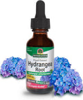 Nature'S Answer Hydrangea Root Extract Supplement with Organic Alcohol 1-Fluid Ounce | Promotes Kidney Health | Urinary Tract Support