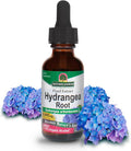 Nature'S Answer Hydrangea Root Extract Supplement with Organic Alcohol 1-Fluid Ounce | Promotes Kidney Health | Urinary Tract Support
