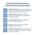 BodyHealth PerfectAmino Electrolytes Powder No Sugar Keto Sugar Free Fasting Electrolytes Drink Mix Hydration Powder with Trace Minerals - Watermelon - 60 Servings