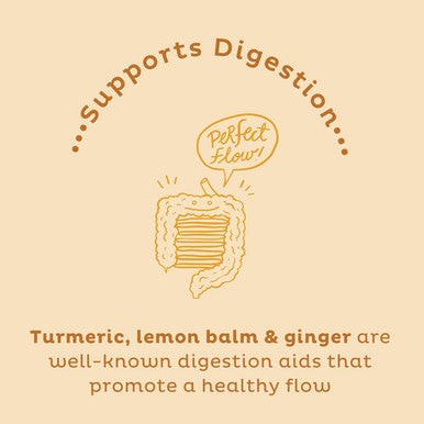 Kos Golden Mylk With Tumeric And Ginger Organic Superfood Latte Powder Adaptogen Mushroom Blend - Coffee Creamer Dessert & Smoothie - Caffeine Vegan Dairy- Gingerbread Chai 28 Servings