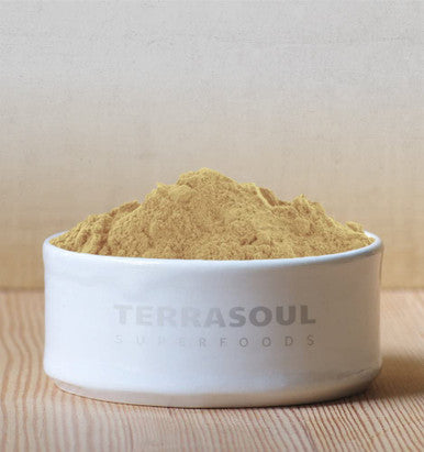 Terrasoul Superfoods Organic Camu Camu Powder 17.5 Oz 5 Pack Raw Natural Vitamin C Immune Support