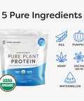 Global Healing Vegan Protein Powder, Organic Protein Powder, Plant Based Protein Powder for Women & Men, 20g of Plant Protein, Meal Replacement for Weight Loss, Unflavored Protein Powder (20 Servings)