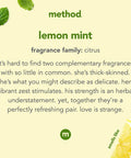 Method Gel Dish Soap Liquid Lemon Mint Biodegradable Formula Tough on Grease 18 Fl Oz (Pack of 6