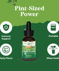 Natures Craft Liquid Multivitamin for Kids Immunity Support - Yummy Toddler Multivitamin Supplement with a C D3 E B6 and D3 Liquid Vitamins for Kids of All Ages - High Absorption Kids Liquid Multivitamin (2 Pack)