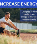 Performance Blend, Best Multivitamin For Men, Vitamin And Mineral Supplement With Probiotics, Superfood Enzyme Blend For Optimized Heart, Prostate, Stamina, Energy, Non-Gmo, 60 Day Supply