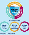 Ensure Max Protein Nutrition Shakes Variety Pack With 30G Of Protein 1G Of Sugar Nutrients To Support Immune System Health High Protein Shake 11 Fl Oz Gluten Free Pack Of 8 Liquid