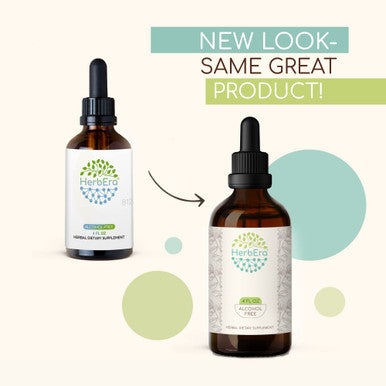Matcha Green Tea B120 Alcohol-Free Herbal Extract Tincture, Concentrated Liquid Drops NaturalGreen Tea, Matcha (Camelia sinesis) Dried Leaf (4 fl oz)