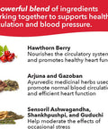 Lifeseasons B/P Stabili-T - Blood Pressure Support - Vitamin Supplement For Healthy Heart & Blood Circulation - Ashwagandha, Arjuna, Gotu Kola & Hawthorn Berry - 120 Capsules