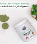 Garden of Life Grass Fed Collagen Greens Beauty Powder - Apple 14 Servings Collagen Powder For Women Skin Hair Nails Joints Collagen Peptides Powder Collagen Protein + Greens Collagen Supplement