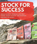 Saltstick Fastchews Electrolyte Replacement Tablets For Rehydration Exercise Recovery Youth & Adult Athletes Hiking Sports Recovery 10Ct Variety 4-Pack
