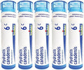 Boiron Hydrastis Canadensis 6C 5Pack Of Of 80 Pellet Tubes Homeopathic Medicine For Postnasal Drip