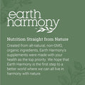 Earth Harmony Pure Magnesium Glycinate 500Mg - Chelated Magnesium Supplement, High Absorption Vegan Magnesium, Magnesium Glycinate Capsules For Sleep, Glicinato De Magnesio With Organic Mct Powder (120 Capsules)