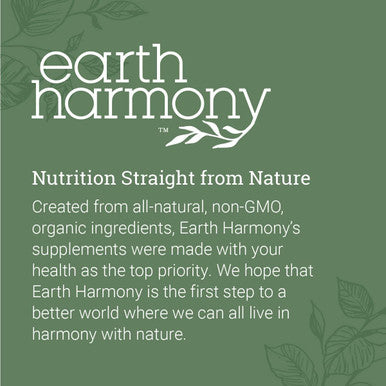 Earth Harmony Pure Magnesium Glycinate 500Mg - Chelated Magnesium Supplement, High Absorption Vegan Magnesium, Magnesium Glycinate Capsules For Sleep, Glicinato De Magnesio With Organic Mct Powder (120 Capsules)