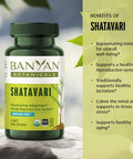 Banyan Botanicals Shatavari Tablets Organic Asparagus Racemosus Root Rejuvenating Adaptogen Tonic That Supports A Healthy Reproductive System* 90 Tablets Non Gmo Sustainably Sourced Vegan