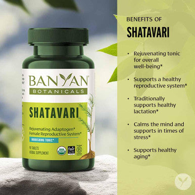 Banyan Botanicals Shatavari Tablets Organic Asparagus Racemosus Root Rejuvenating Adaptogen Tonic That Supports A Healthy Reproductive System* 90 Tablets Non Gmo Sustainably Sourced Vegan