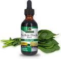 Nature'S Answer Alcohol- Yellow Dock Root 2000mg 1oz | Promotes Liver Function | Natural Body Detox | Bloating Relief | Gluten- Non-GMO Vegan | Single Count