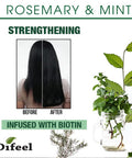 Difeel Rosemary and Mint Strengthening Leave-In Conditioning Spray with Biotin 6 oz. - Made with Natural Mint & Rosemary Oil for Hair Growth
