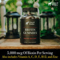 Pete & Pedro Biotin Gummies - Daily Hair Growth Strengthening Supplement For Stronger Hair, Skin, & Nails Cherry Flavor Biotin Gummy 5000Mcg Per Serving As Seen On Shark Tank, 60 Count
