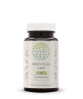 HerbEra Witch Hazel Leaf 60 Capsules, 500 mg, Witch Hazel Leaf (Hamamelis virginiana) Dried Leaf (60 Capsules)