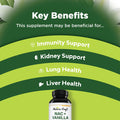 Natures Craft NAC Supplement N-Acetyl Cysteine with Vanilla - Detox Cleanse Liver Supplement with Amino Acids for Liver Detox and Kidney Cleanse - High Absorption NAC 600mg Amino Acids Supplement for Liver Support
