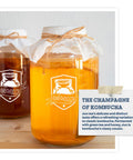 Fermentaholics Jun Kombucha Starter Culture Usda Organic Jun Scoby and Starter Tea Makes 1 Gallon Brewed With Organic Green Tea and Honey Brew Jun Tea