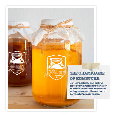 Fermentaholics Jun Kombucha Starter Culture Usda Organic Jun Scoby and Starter Tea Makes 1 Gallon Brewed With Organic Green Tea and Honey Brew Jun Tea