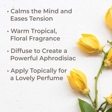 Plant Therapy Ylang Ylang Extra Essential Oil 10 mL (1/3 oz) 100% Pure, Undiluted, Therapeutic