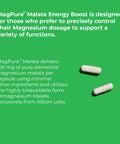 Jigsaw Health MagPure Malate, Premium Magnesium Capsules, 120 Capsules