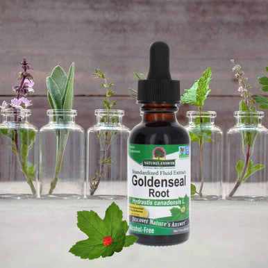 Nature'S Answer Alcohol- Golden Seal Root 1oz Extract | 9mg of Hydrastine and 16mg of Berberine Per Serving | Natural Immune Booster | Promotes Lung Health | Single Count
