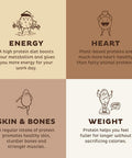 Kos Vegan Protein Powder, Chocolate Usda Organic - Low Carb Pea Protein Blend, Plant Based Superfood With Vitamins & Minerals - Keto, Soy, Gluten - Meal Replacement For Women & Men - 10 Servings