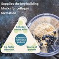 Pure & Essential Vegan Collagen Peptide Powder, Enhanced with Glycine, Proline & Hydroxyproline & Cofactor Vitamin C, Non GMO, Complete Vegetarian Plant Based Collagen Powder Booster, 35 Servings