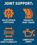 Dr. Tobias Joint Support Supplement with Chondroitin Sulfate Glucosamine and MSM 240 Capsules
