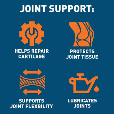 Dr. Tobias Joint Support Supplement with Chondroitin Sulfate Glucosamine and MSM 240 Capsules
