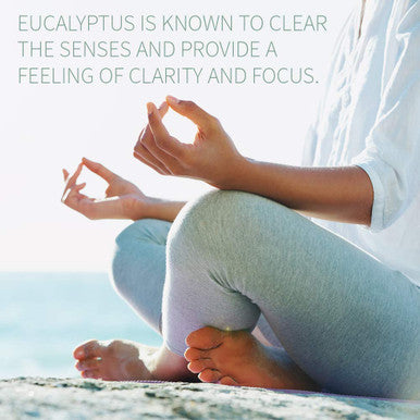 Garden of Life Essential Oil Eucalyptus 0.5 Fl Oz Pack (Pack Of 2)
