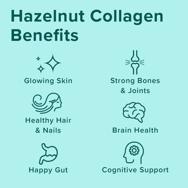 Hazelnut Chocolate Collagen Bundle GrassFed Hazelnut Collagen Peptides Chocolate Collagen Peptides Perfect for Delicious Coffee Drinks Hair Skin Nails Gut Health and Joint Health Benefits