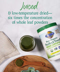 Garden of Life Super Greens Powder Smoothie & Mix Probiotics & Digestive Enzymes For Digestive Health Organic Superfoods Nutrition Fruit And Vegetables For Women & Men Energy Original 60 Servings