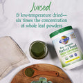 Garden of Life Super Greens Powder Smoothie & Mix Probiotics & Digestive Enzymes For Digestive Health Organic Superfoods Nutrition Fruit And Vegetables For Women & Men Energy Original 60 Servings