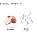 The Nue Co. Natural Prebiotic Probiotic IBS Relief Supports Gut Health Immunity and Skin Spore Based Bacteria Vegan Organic TimeDelayed 60 Capsules
