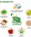 Vinatura Duckweed & Greens Powder - Smoothie Mix With Super Greens: Kale Powder, Spinach Powder, Broccoli, Duckweed Supplement
