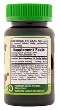 Nature's Truth Ferrous Sulfate Iron 65 mg Supplements, 120 Count