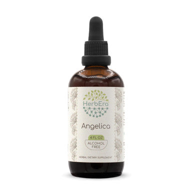 Angelica B120 Alcohol-Free Herbal Extract Tincture, Concentrated Liquid Drops Natural Angelica (Angelica Archangelica) Dried Root