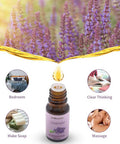 Sedbuwza 3 Pack Rosemary Eucalyptus Lavender Essential Oil Set 100% Pure Aromatherapy Mothers Day Gifts Oils for Massage, Skin and Hair Care